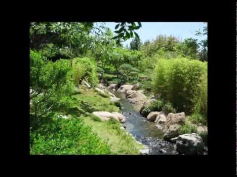Japanese Friendship Garden