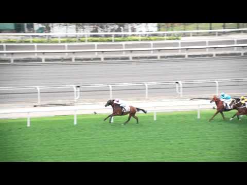 Sha Tin Horse Racing