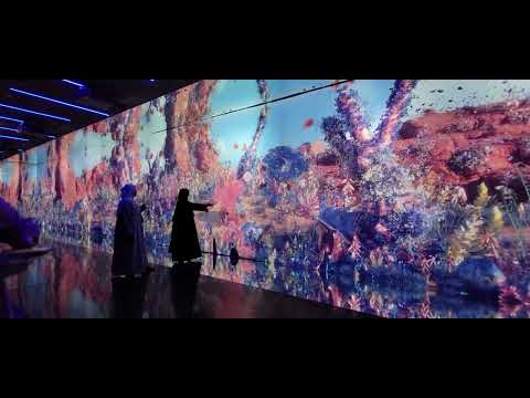 Aya show Dubai 8