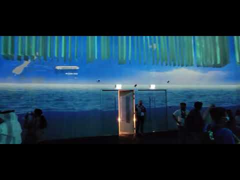 Dubai Expo 2020 6
