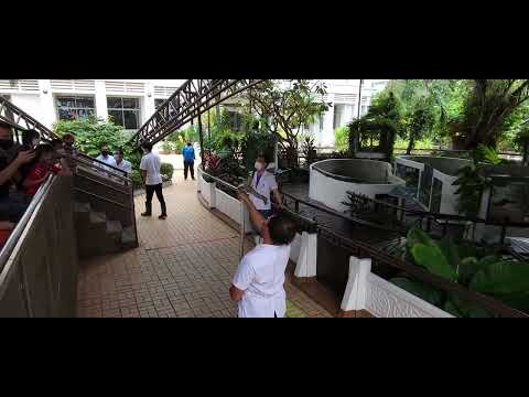 Snake Farm Queen Saovabha Memorial Institute Bangkok Thailand videos 4