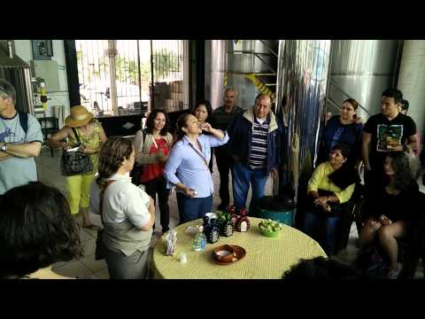 Taquilla tour Mexico 2