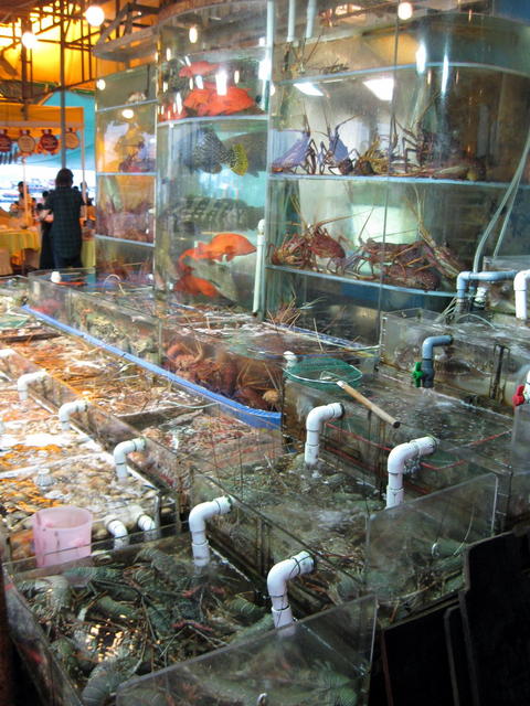 rp_Sai-Kung-fresh-fish-10