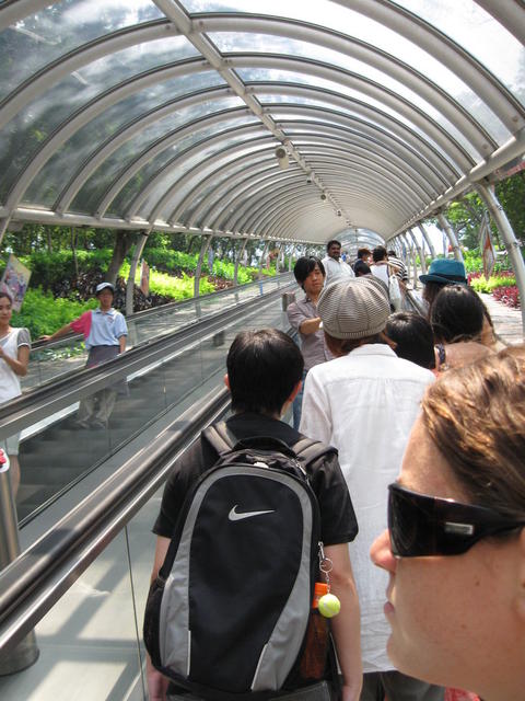 rp_Shani-day-6-Ocean-Park-Hong-Kong-26
