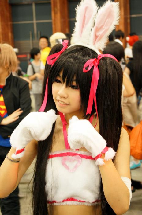 rp_Anicom-HK-2011-187