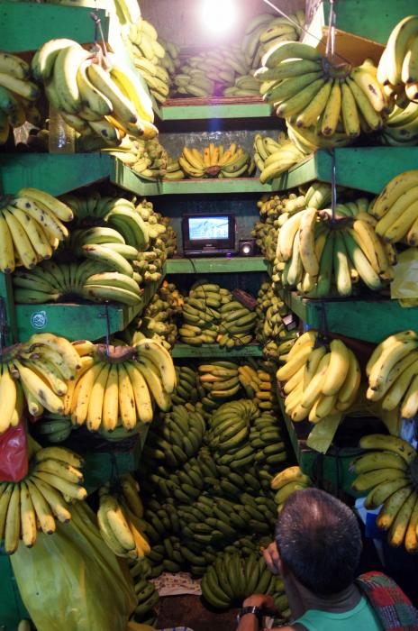 rp_Carbon-Market-Cebu-City-_5_
