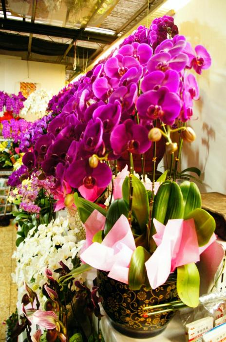 rp_Lei-Fang-flower-market-Beijing-_9_