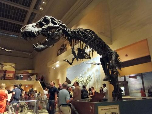 rp_National-Museum-of-Natural-History-_26_