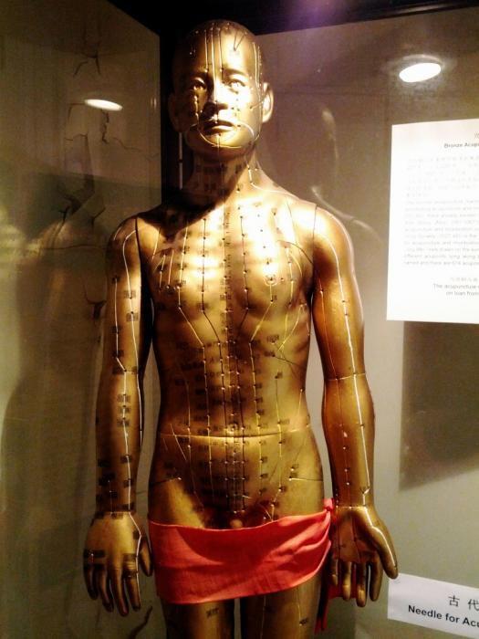 rp_Medical-Sciences-Museum-Sheung-Wan-_14_