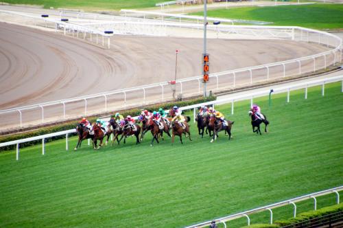 rp_Horse-Racing-Sha-Tin-_23_