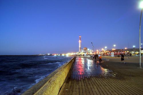 rp_Tel-Aviv-Harbor-_9_