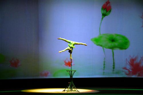 rp_Shanghai-Acrobat-Show-_54_