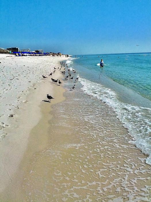 rp_Pensacola-Beach-Florida-_18_
