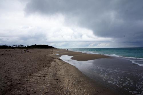 rp_Palm-Beach-the-beach-_1_