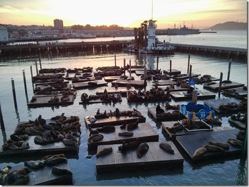 rp_Pier39SanFrancisco16_thumb