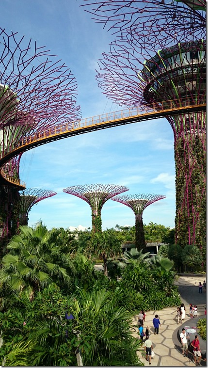rp_SingaporeGardensbytheBay015_thumb
