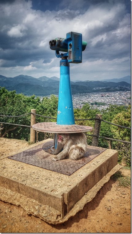 rp_KyotoJapan59_thumb
